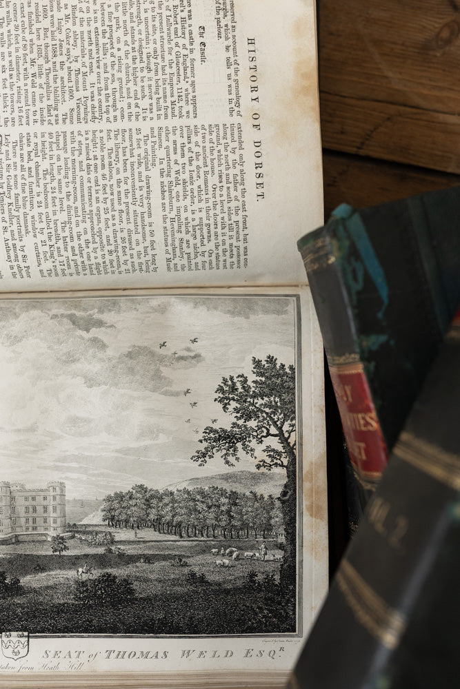 Books: History & Antiquities of Dorset, 4 Volumes