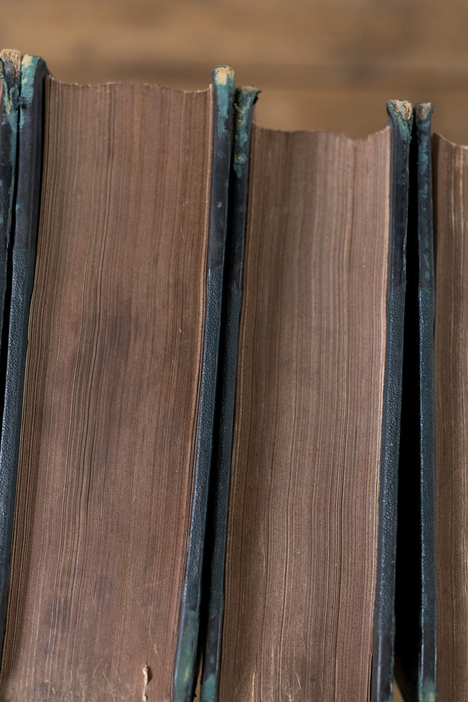 Books: History & Antiquities of Dorset, 4 Volumes