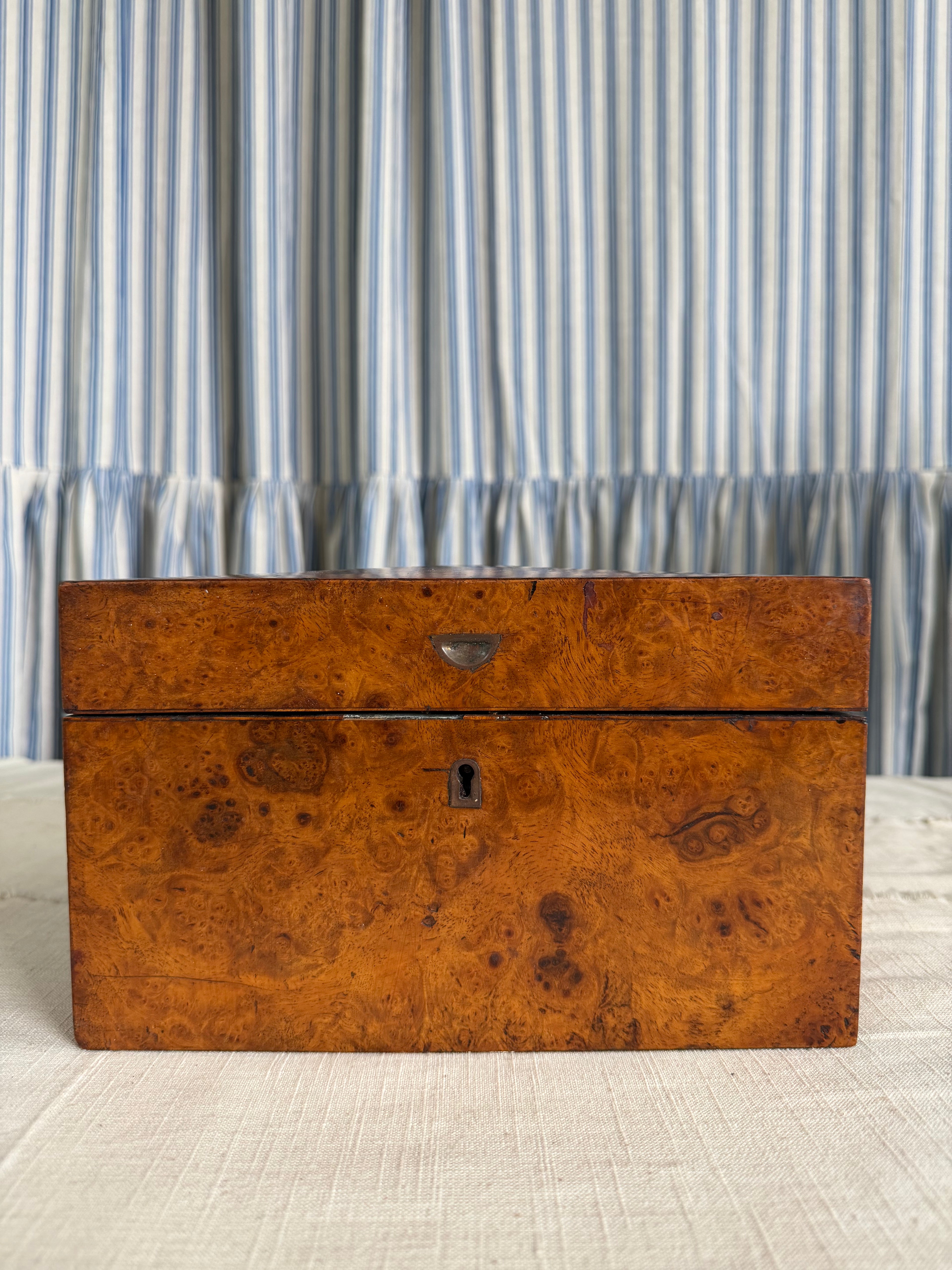 Burlwood Walnut English Tea Caddy