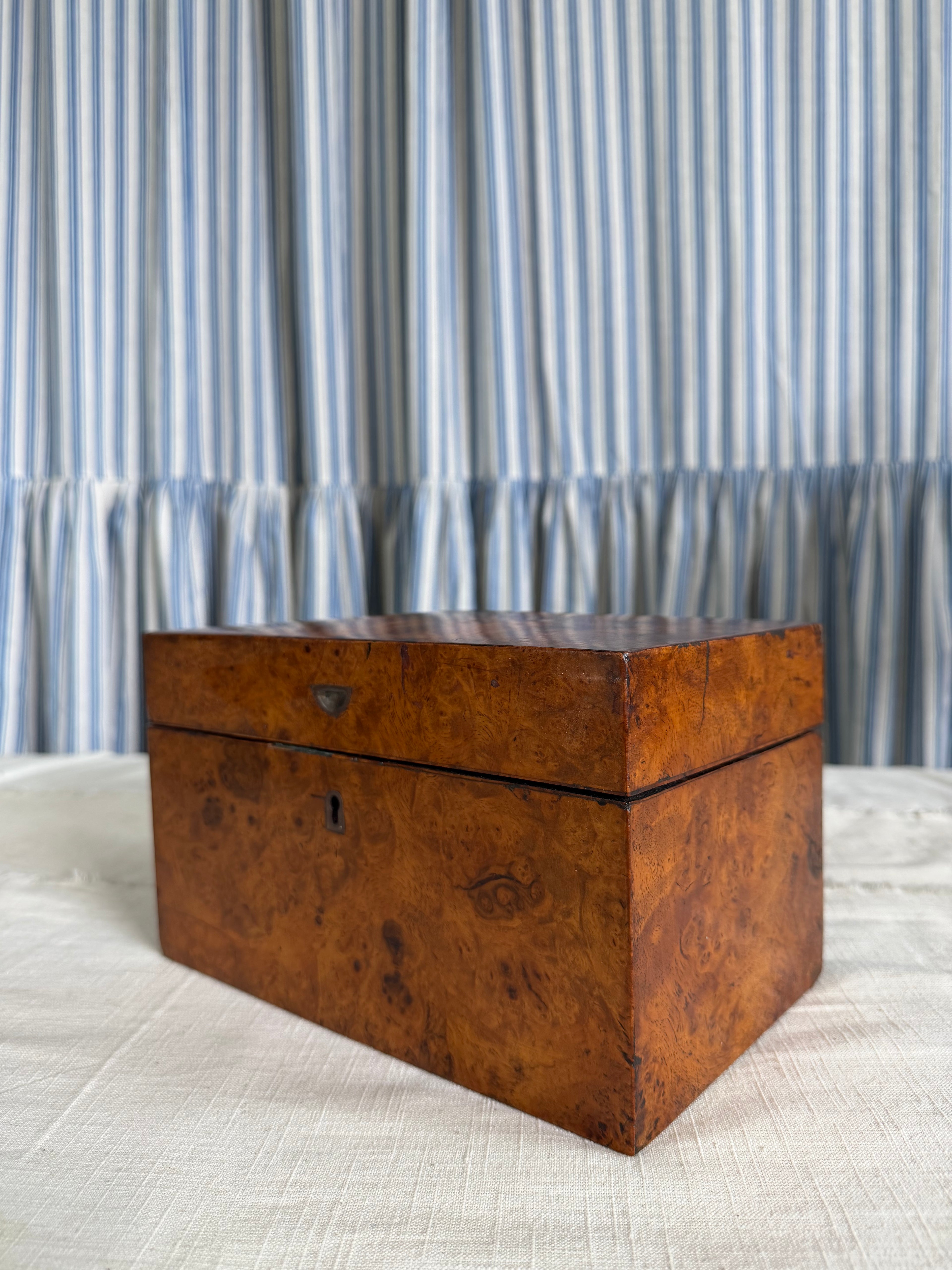Burlwood Walnut English Tea Caddy