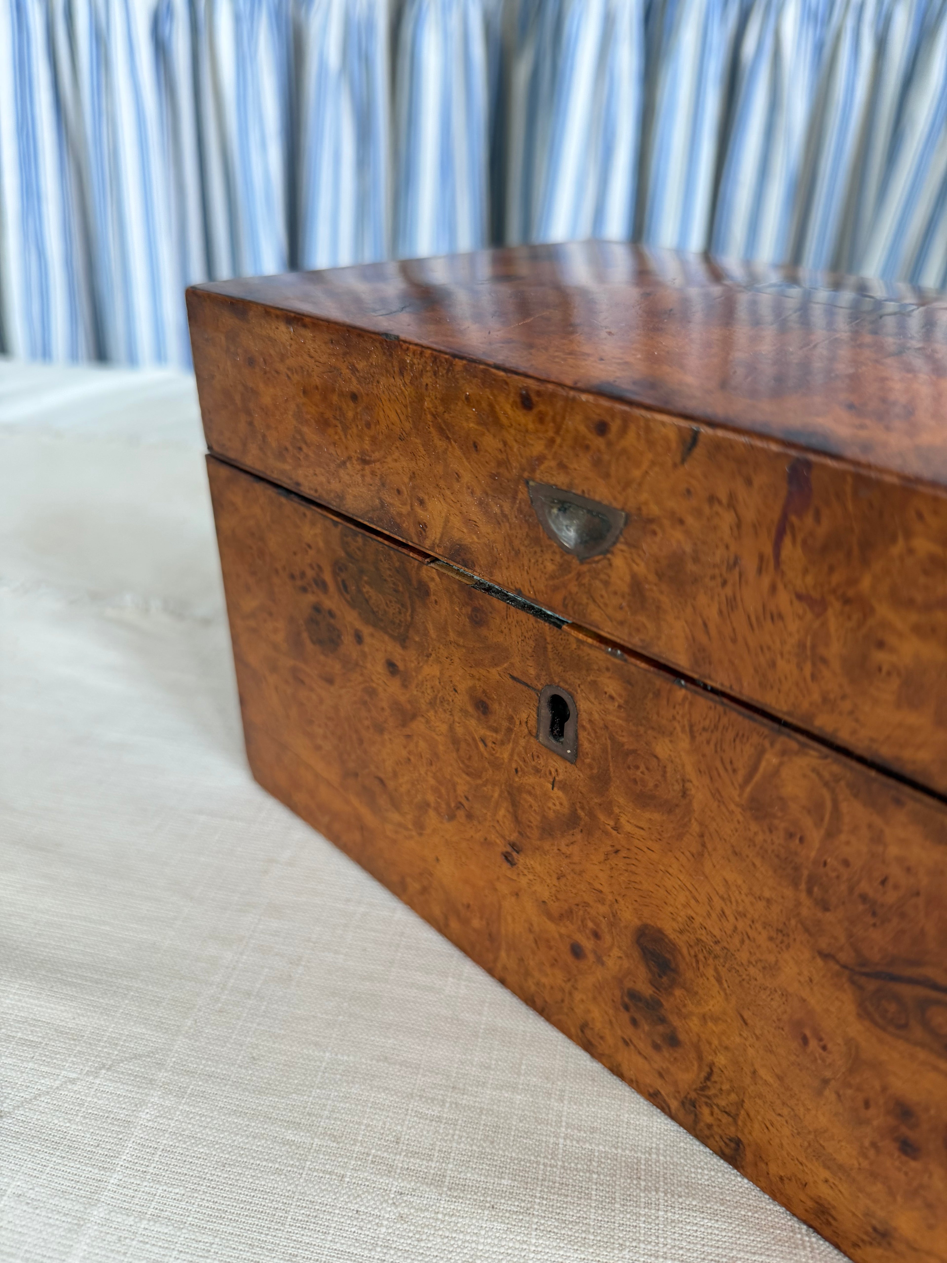Burlwood Walnut English Tea Caddy
