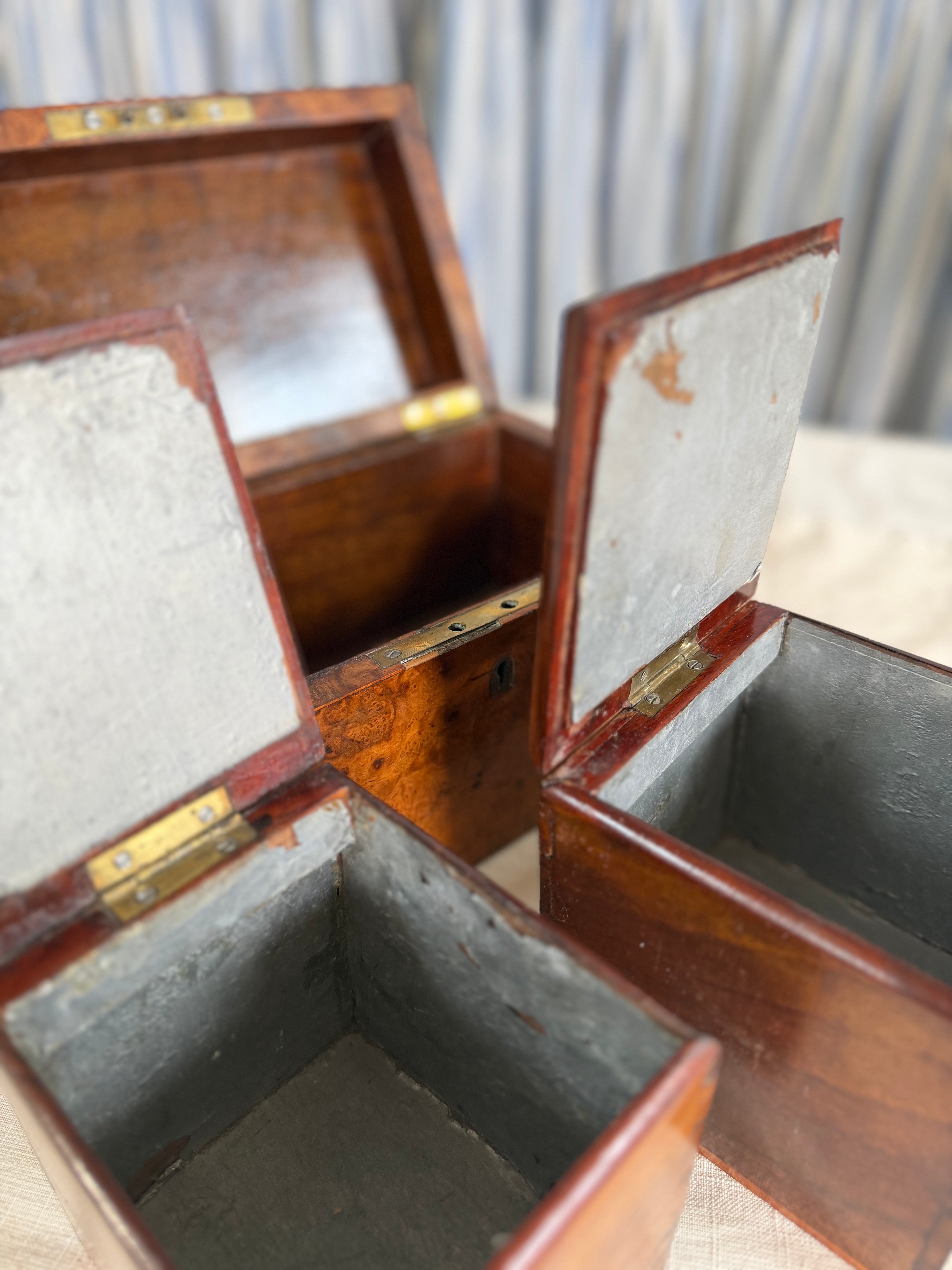 Burlwood Walnut English Tea Caddy