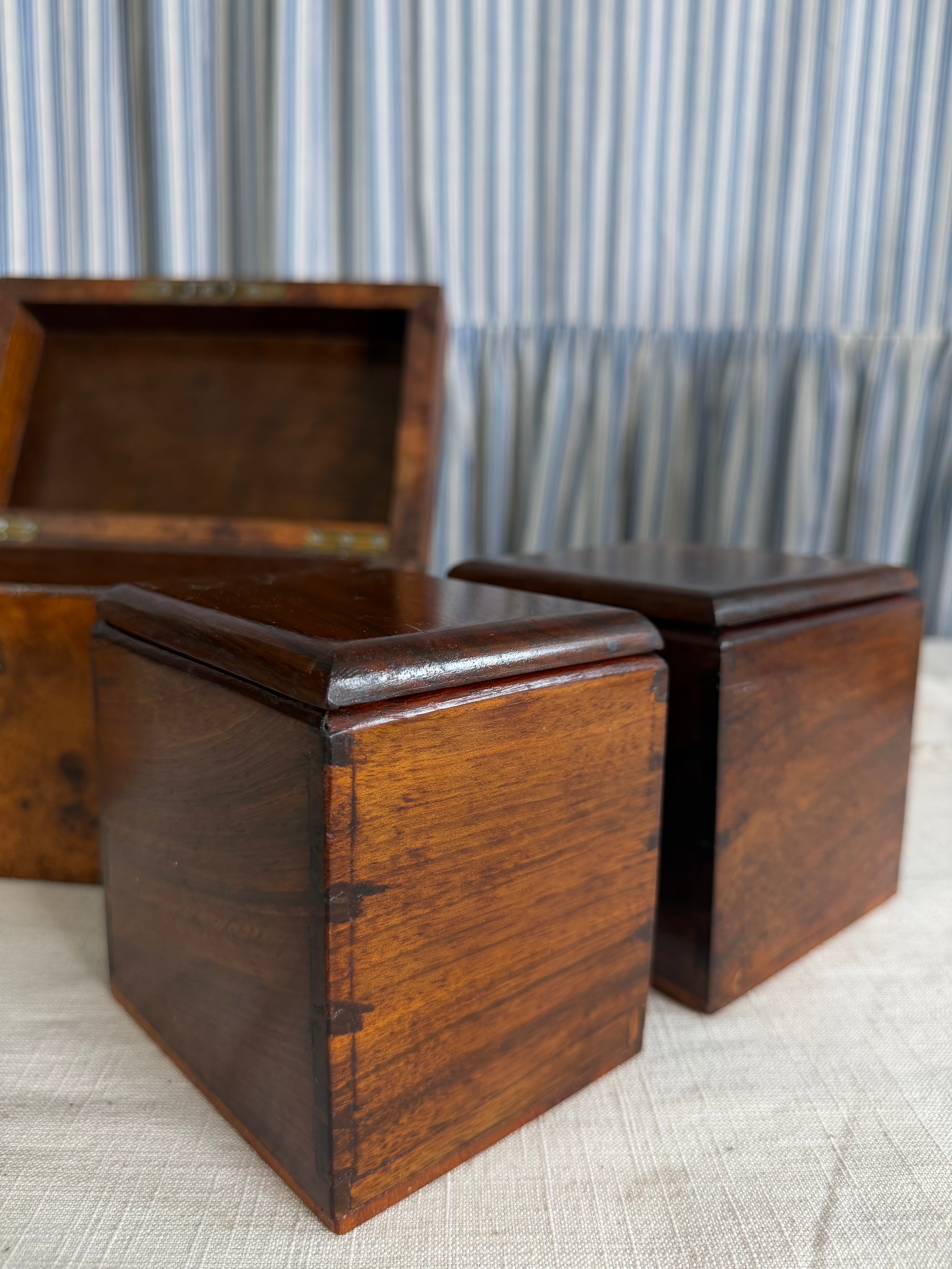 Burlwood Walnut English Tea Caddy
