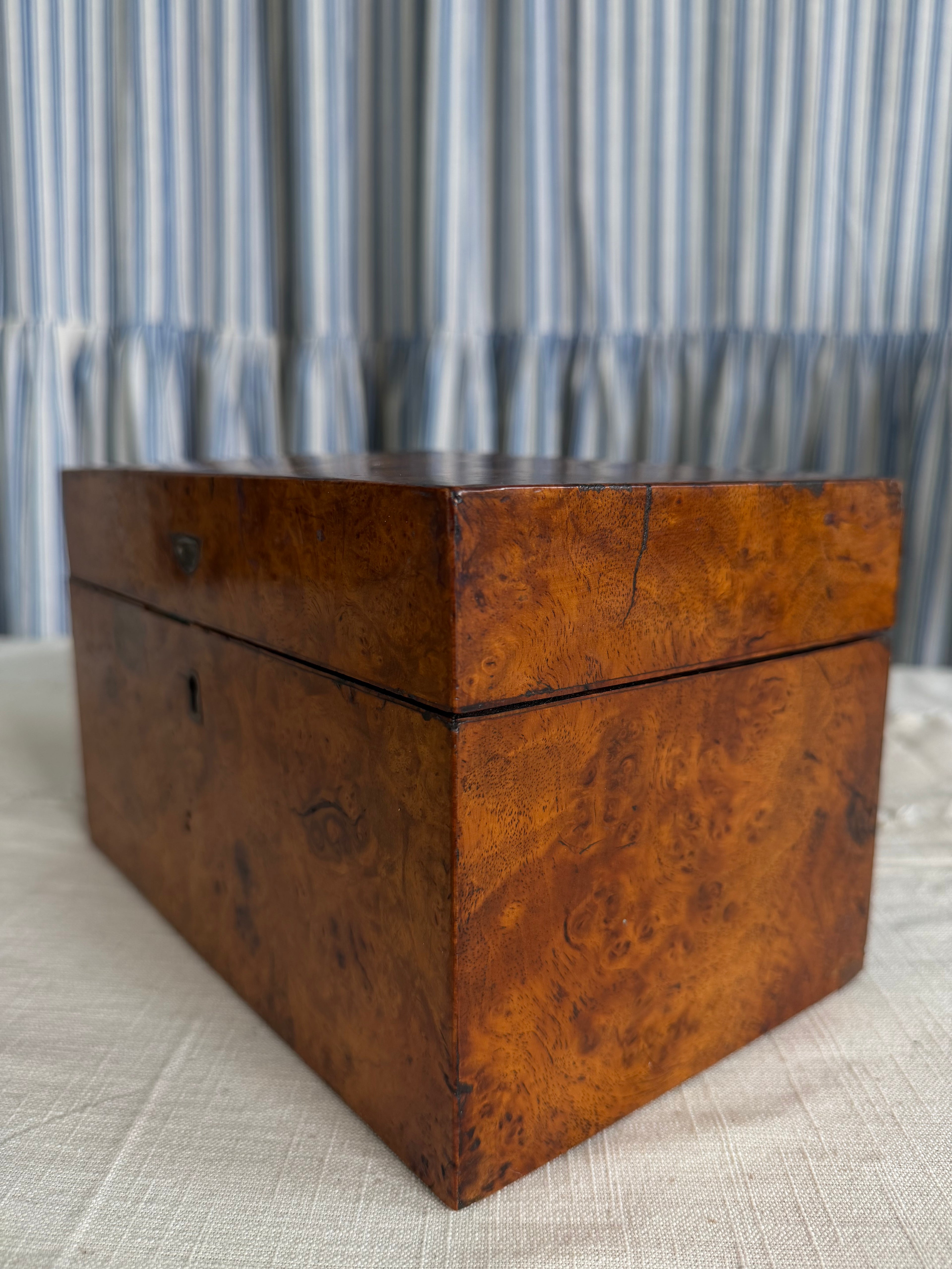 Burlwood Walnut English Tea Caddy